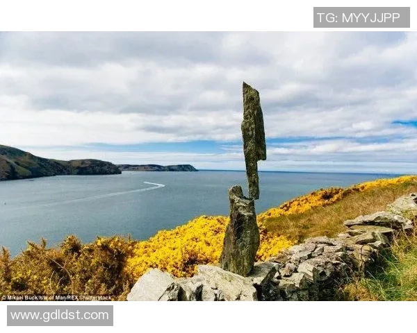 足球明星与前女友的情感纠葛揭示了爱情与事业的微妙平衡