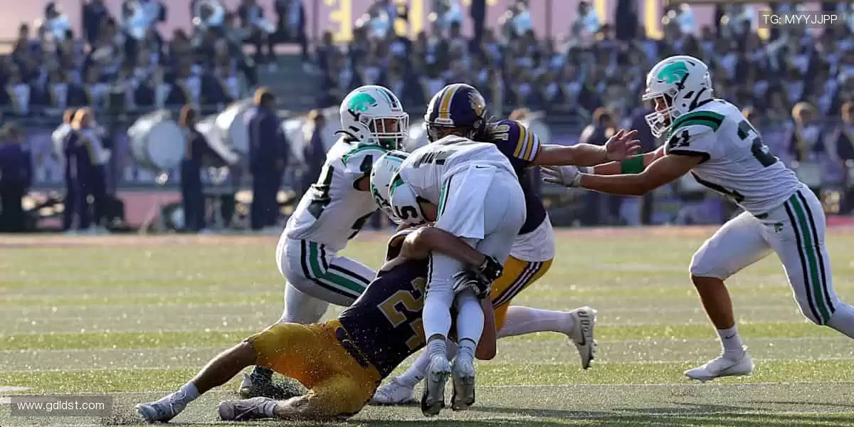 速度与激情交织,赛事直播永不卡顿!💨
